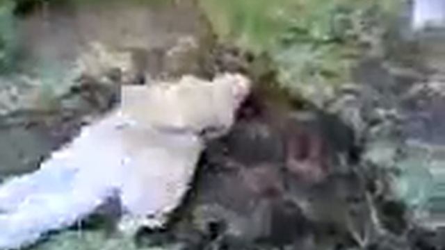 Фермер-пьяница - Drunk Farmer смотреть онлайн