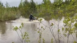 Квадрик