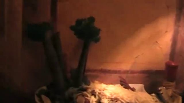 Среща в Бейрут-01.2010г смотреть онлайн