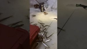 Сергею , спасибо за отчёт 😎👍