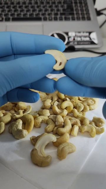 ЛИЧИНКИ В КЕШЬЮ ПОД МИКРОСКОПОМ смотреть онлайн