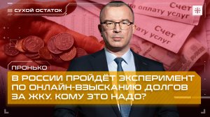 Пронько: В России пройдёт эксперимент по онлайн-взысканию долгов за ЖКУ. Кому это надо?