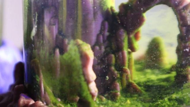 Feeding Red-Magic Vitamins To My Sea Monkeys! смотреть онлайн