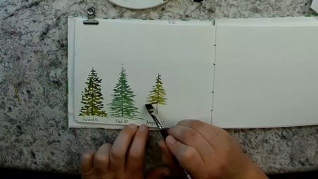 Watercolor Pine Trees Painting Exercise - Practice with Different Brush Styles смотреть онлайн