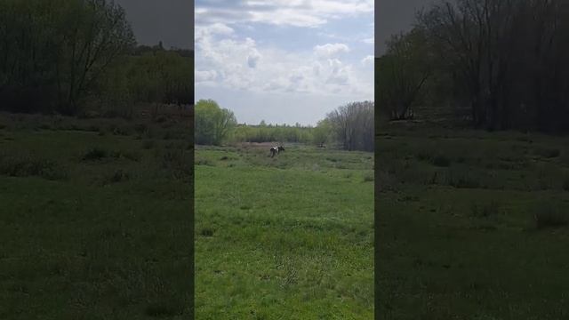 #россия #деревня #самарскаяобласть смотреть онлайн