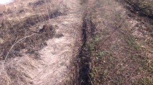 Поджигать траву опасно!!!!!!