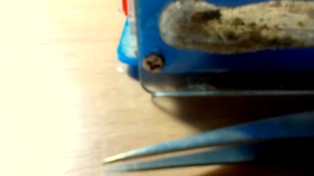 ЗВЕРСКАЯ БИТВА МУХИ И МУРАВЬЕВ! смотреть онлайн