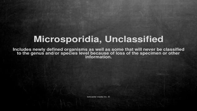 Medical vocabulary: What does Microsporidia, Unclassified mean смотреть онлайн