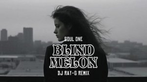 Blind Melon - Soul One (Dj ray-g remix)