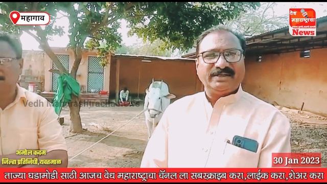 VIDEO | MAHAGAO | हिवरा संगम येथे भव्य बैलगाडा शर्यत (शंकरपट) | 4 फेब्रुवारी पासून सुरुवात...!! смотреть онлайн