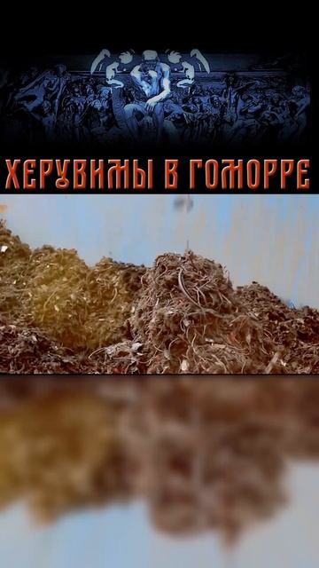 "Заржавел Металл" от Александра Кипелова и Херувимов В Гоморре #кипелов #aria #сынкипелова #shorts