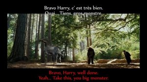 FRENCH LESSON - learn french with Harry Potter III ( french + english sub ) part2