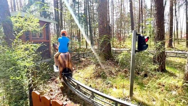 МЫ ПОПАЛИ В СКАЗКУ!! СКАЗОЧНЫЙ ПАРК СУЩЕСТВУЕТ! ГОВОРЯЩЕЕ ДЕРЕВО, КАРУСЕЛИ И АТРАКЦИОНЫ￼. ЭТО ВЕСЕЛ