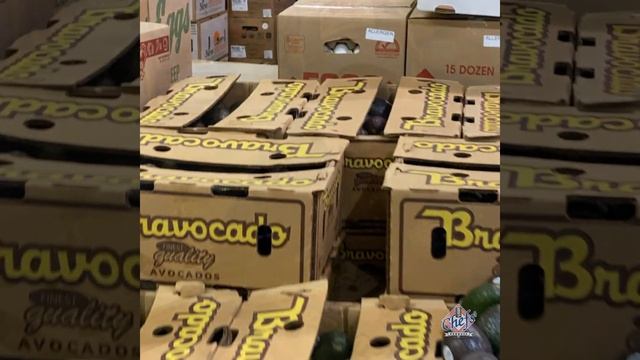 How to Pick Your Avocados Like A Pro!!-Market Update, August 3, 2020 смотреть онлайн
