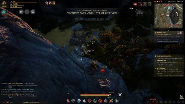 Black Desert Paranormal activity