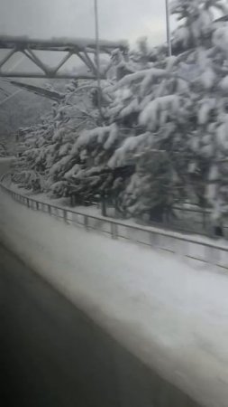 У нас то же бывает снег (Адлер)