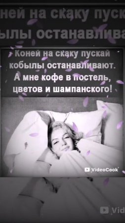 19-02-2025 ЛВЕ