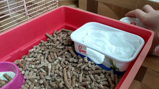 Приручение хомяка день 6. Уборка