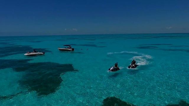 ALLIGATOR REEF & LIGHTHOUSE - ISLAMORADA смотреть онлайн