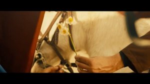 Homayoun Shajarian - Diyare Asheghihayam I Official Video ( همایون شجریان - دیار عاشقیهایم )