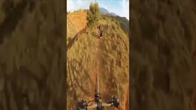безстрашные велосипедисты