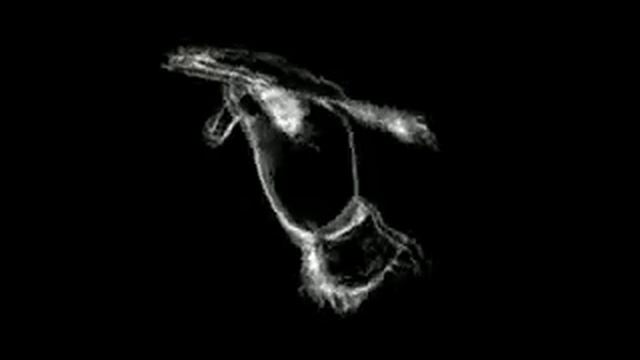 Смешная сова смотреть онлайн