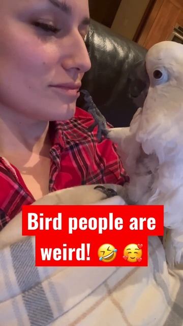 🤷🏻♀️ Experience talking here 🤣 #parrot #cockatoo #shorts #cute #jokes #cutepets