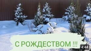 С РОЖДЕСТВОМ !!! 7.01. 2024г.
