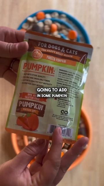 How I incorporate natural foods into my dogs diet 🫐🐶 #dogfoodrecipe #dogshorts #dogfood #doglover смотреть онлайн