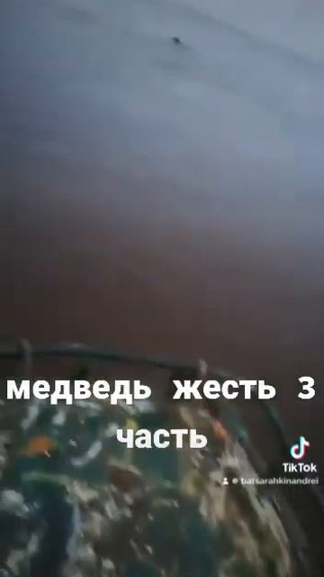 #медведь #охота #хантымансийск #рыбалка #топ #новыйгод #рекомендации #деньги смотреть онлайн