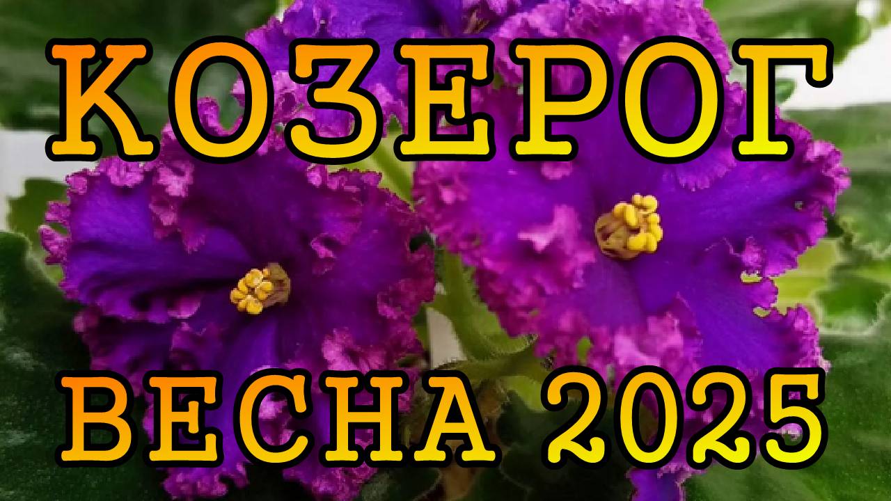 КОЗЕРОГ таро прогноз на ВЕСНУ 2025 года (март, апрель, май)