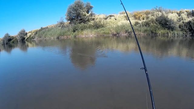 Spinning la clean/chub fishing part 3 смотреть онлайн