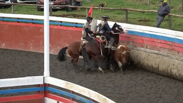 Campeones Llanquihue 28 abril 2018 смотреть онлайн