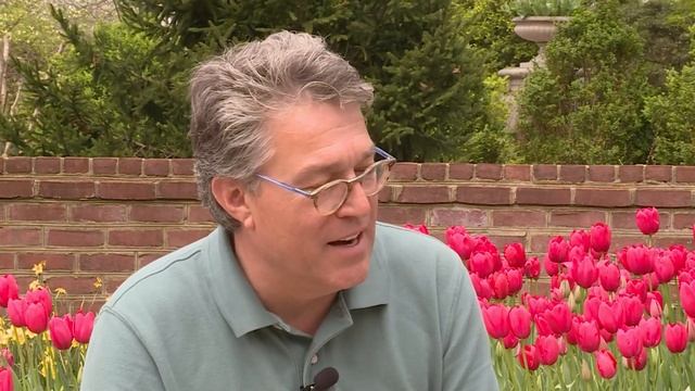 How do I get rid of horsetail fern in my perennial beds? смотреть онлайн