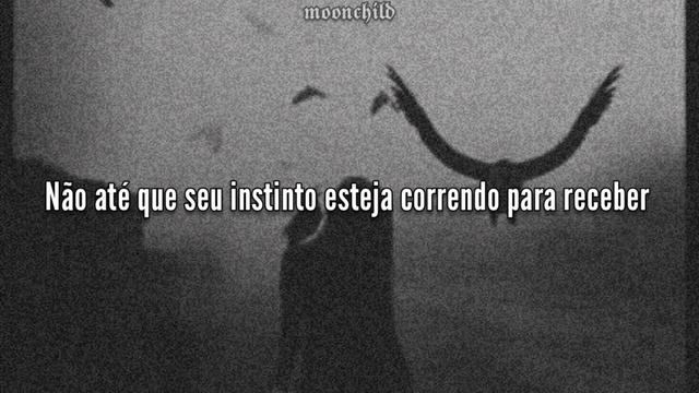 Lena Katina (t.A.t.u) - Nevermind (tradução/legendado) смотреть онлайн