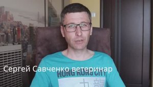 Можно ли кошке давать колбасу