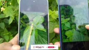 Poco C3 13MP Camera Test Vs Poco M6 Pro 5G 50MP Camera Test - Comparison 13MP vs 50MP Camera test