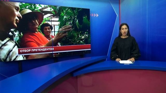 Новости 2024 08 06 смотреть онлайн