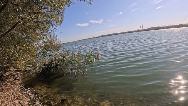 Реальная рыбалка по окуню на мормышку (Шатское водохранилище)! смотреть онлайн