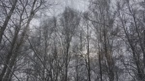 Путь в былое, которого нет. Стихи и видеомонтаж мои. Музыка - Иоганнес Брамс