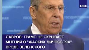 Лавров: Трамп не скрывает мнения о "жалких личностях" вроде Зеленского