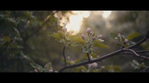 Canon 5D mark II Magic Lantern RAW | Industar 50-2 lens (ML RAW)| Cinematic