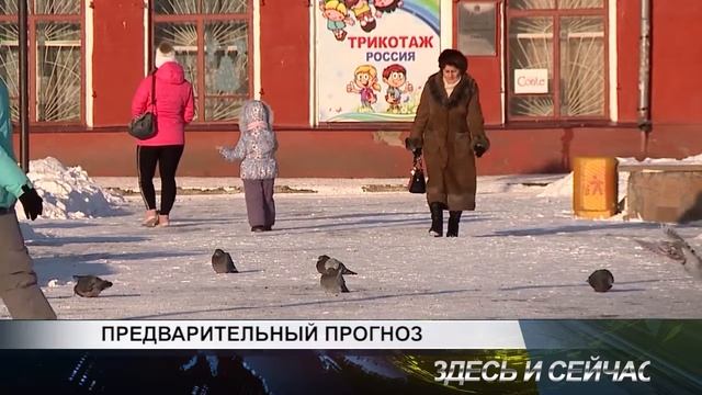 предварительный прогноз смотреть онлайн