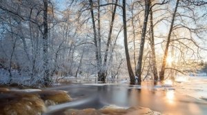 Прогноз на март 2025 год. Стихия земли: телец, дева, козерог