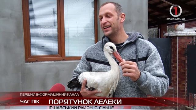 Порятунок лелеки на Іршавщині: пернатий отримав шанс на життя смотреть онлайн