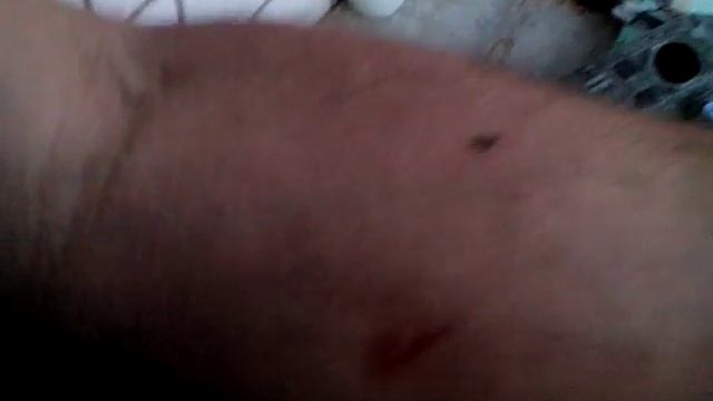 комар самаубийца смотреть онлайн