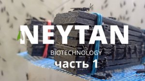 NEYTAN (часть 1) док. фильм.