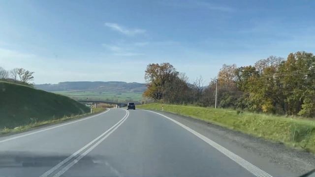 Возвращение блудных попугаев 😊 смотреть онлайн