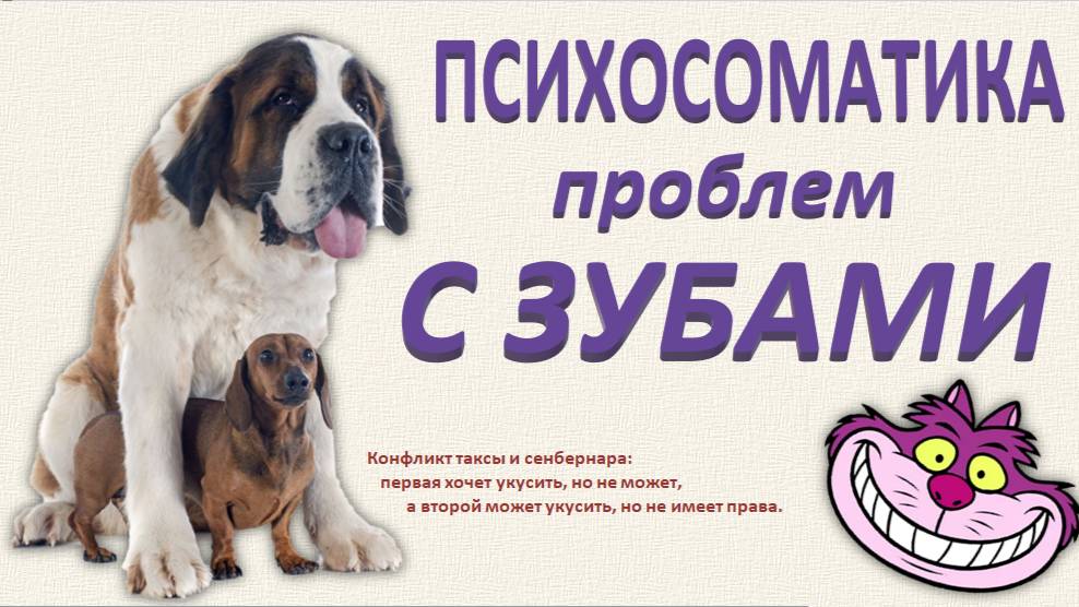 Психосоматика проблем с зубами. Разбор по запросам_15.02.2025. Часть 1. ГНМ о зубах