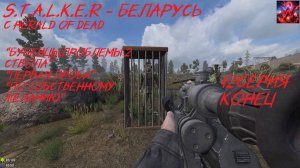 S.T.A.L.K.E.R - Беларусь 12 серия "Финал наконец настал"